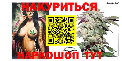 прущие грибы Лесосибирск