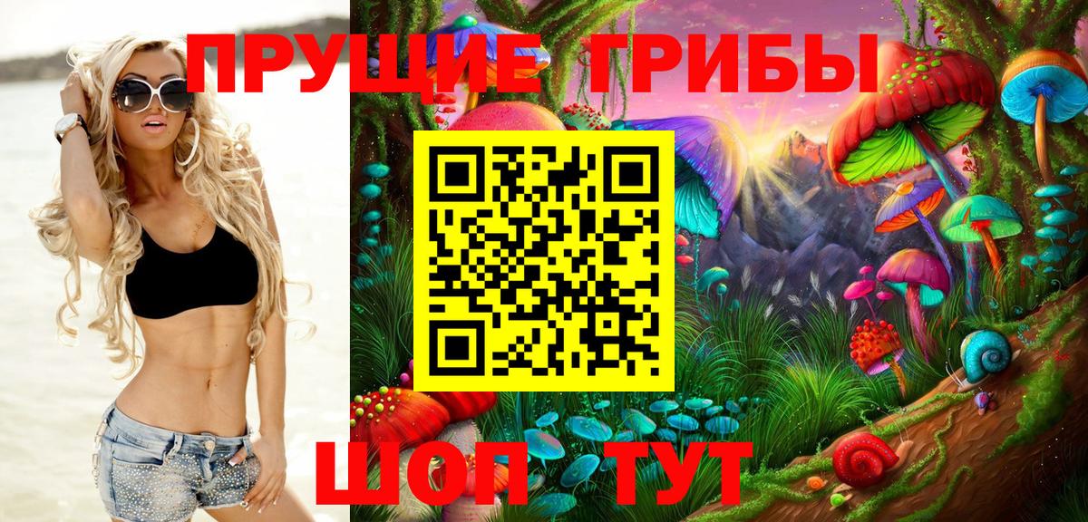 Псилоцибиновые грибы мицелий Шадринск
